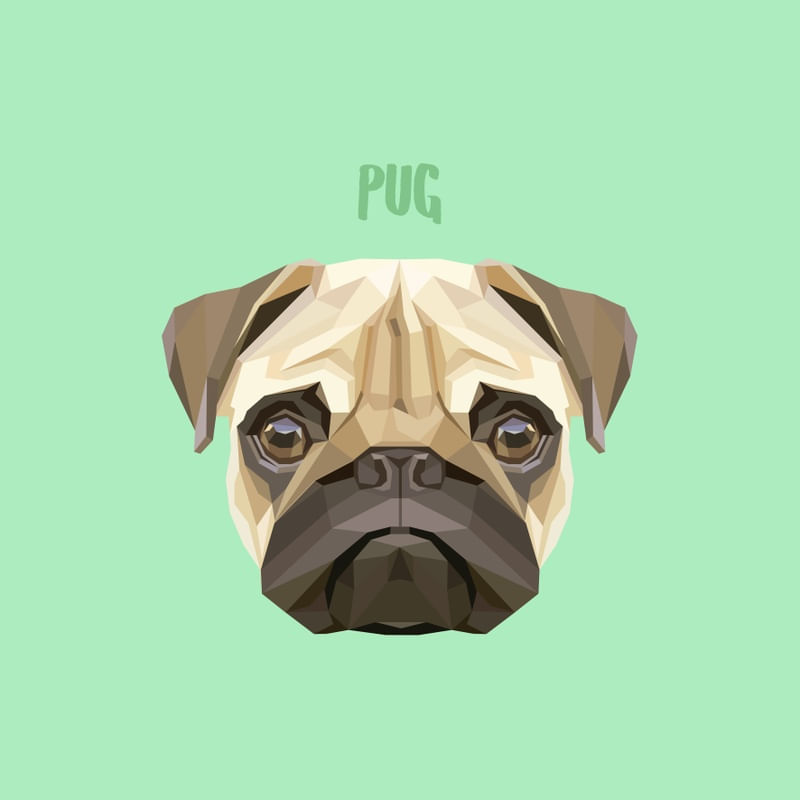 PUG 01