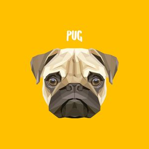 PUG 02