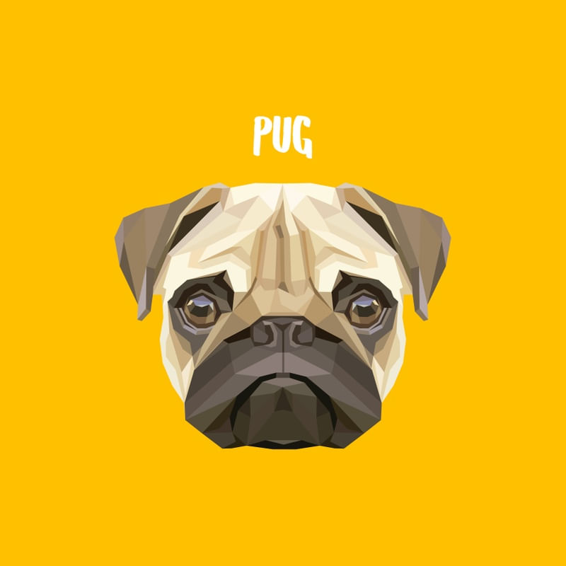 PUG 02