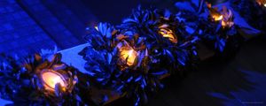 BLUE ARRANGEMENTS WIDE