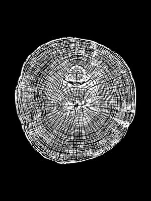 WOODCUT BLACK XIV