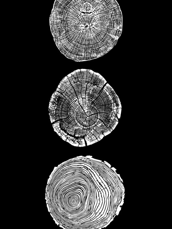 WOODCUT BLACK XVI