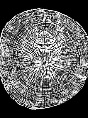 WOODCUT BLACK XVIII