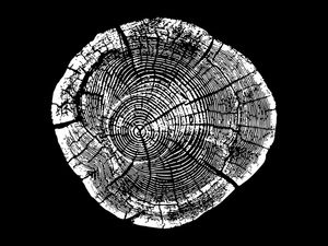 WOODCUT BLACK XXIII