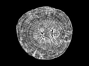WOODCUT BLACK XXV