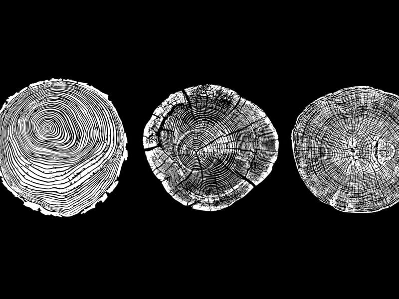 WOODCUT BLACK XXVIII