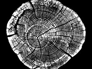 WOODCUT BLACK XXIX