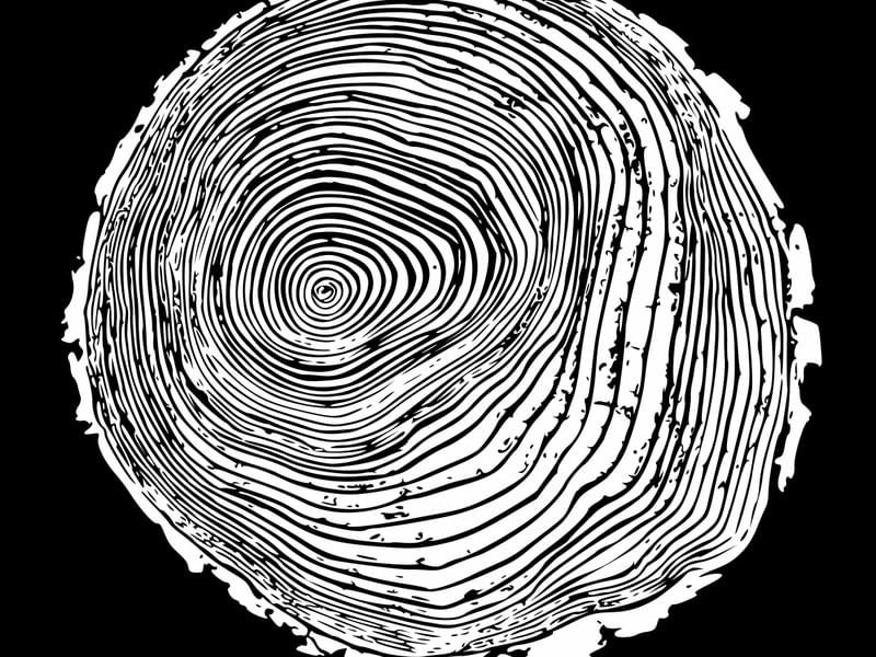 WOODCUT BLACK XXX