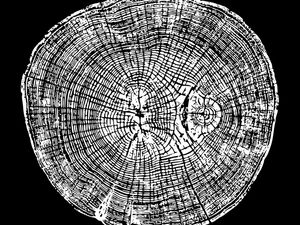 WOODCUT BLACK XXXI