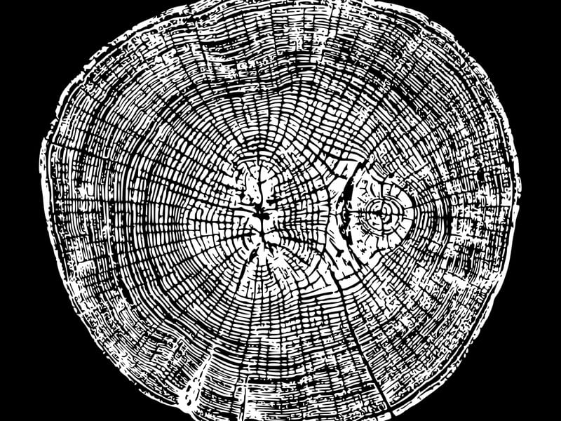 WOODCUT BLACK XXXI