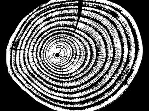 WOODCUT BLACK XXXII