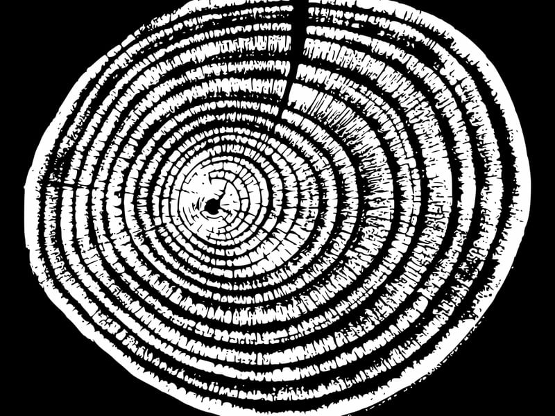 WOODCUT BLACK XXXII