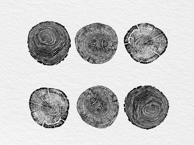WOODCUT BLACK XXXVII