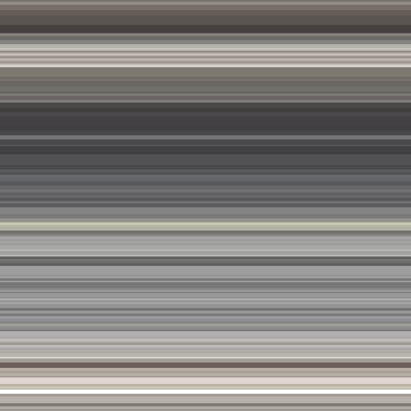 LINES 13