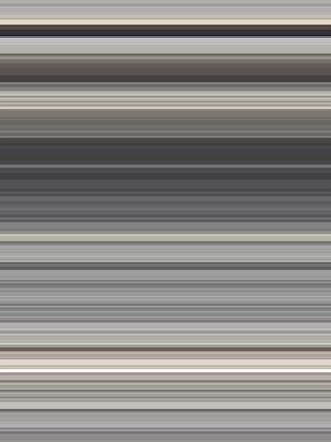 LINES 24