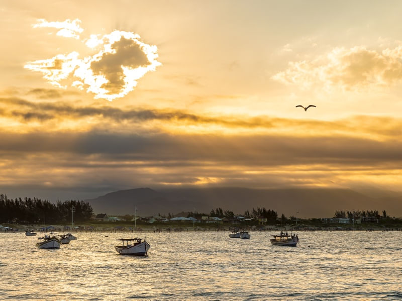PÔR DO SOL NA PINHEIRA 5