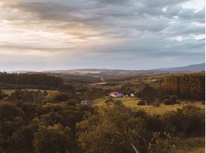 COUNTRY VIBE