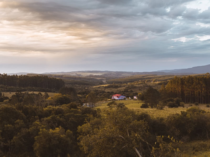 COUNTRY VIBE