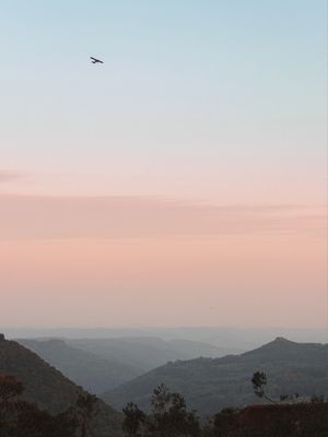 HORA DE VOAR