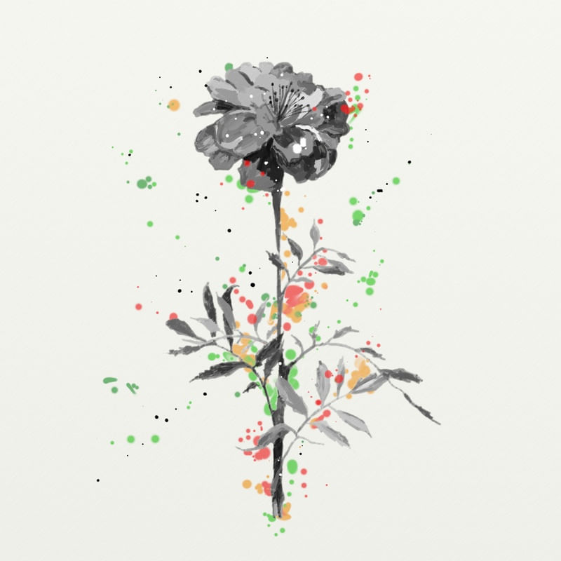 FLORAÇÃO 19
