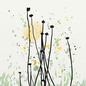 FLORAÇÃO 20