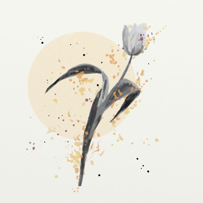 FLORAÇÃO 22