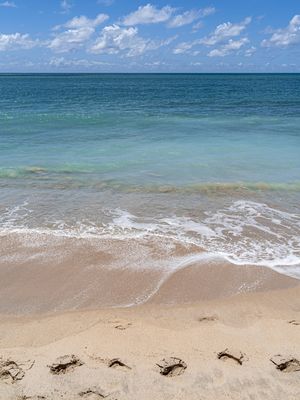 MAR AZUL NA AREIA BRANCA