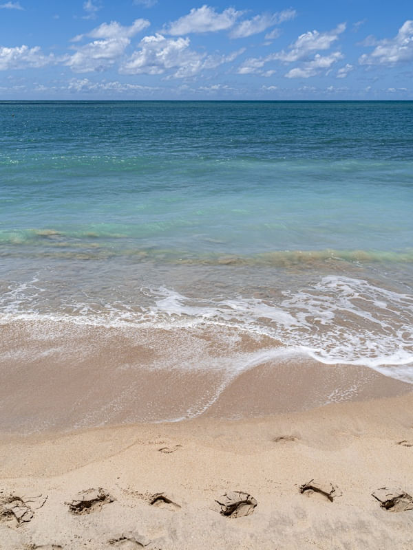 MAR AZUL NA AREIA BRANCA