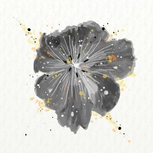 FLORAÇÃO 25