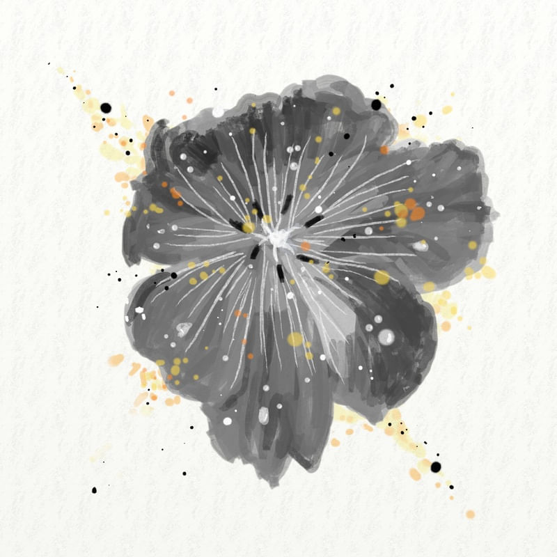 FLORAÇÃO 25