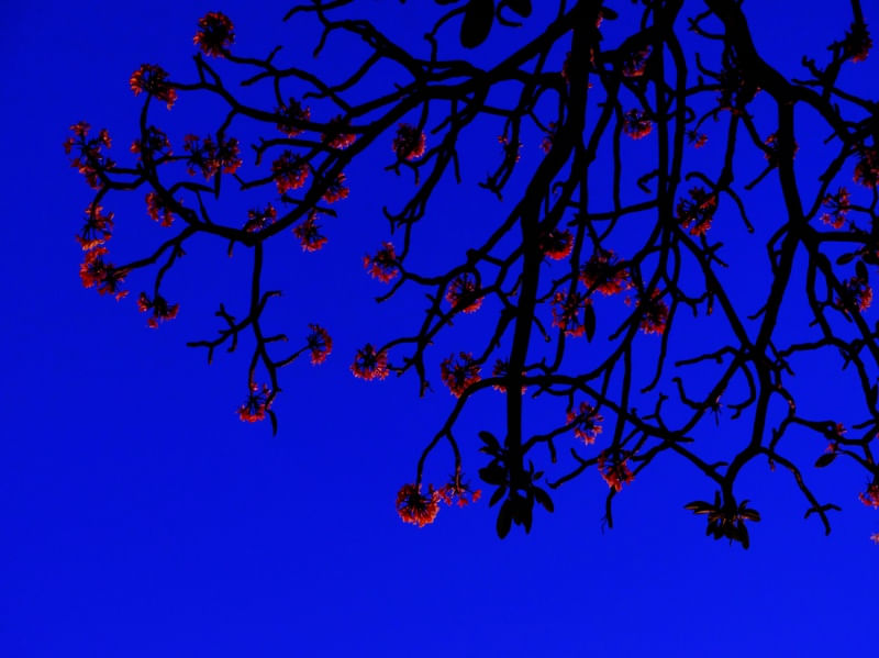 AZUL NOTURNO