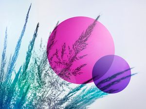 ABSTRACT FIELD 1