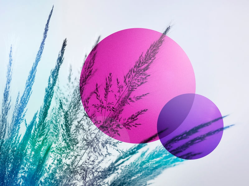 ABSTRACT FIELD 1