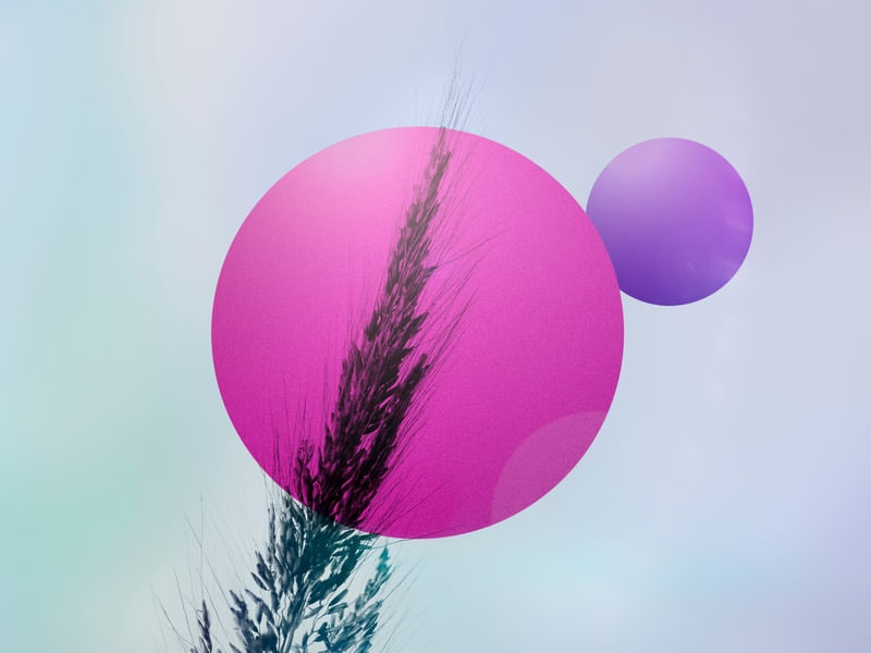 ABSTRACT FIELD 2