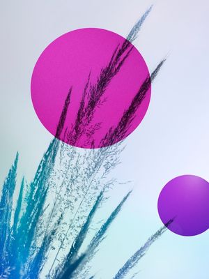ABSTRACT FIELD 3