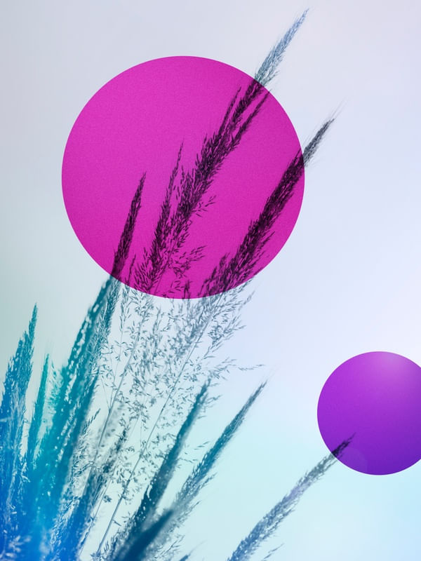 ABSTRACT FIELD 3