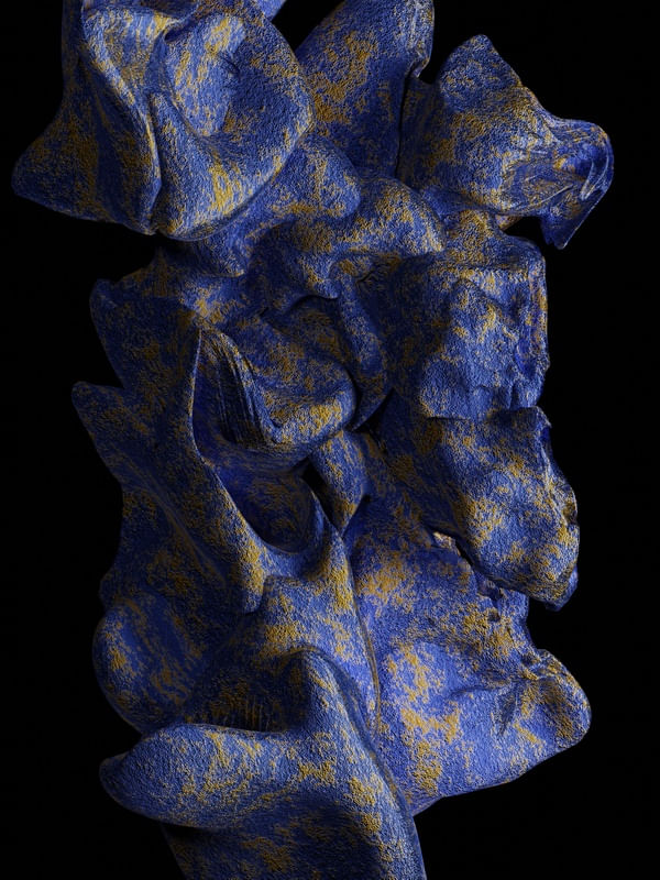 PROCEDURAL FORM II