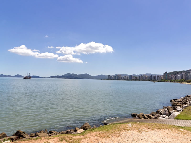 LINDA FLORIPA