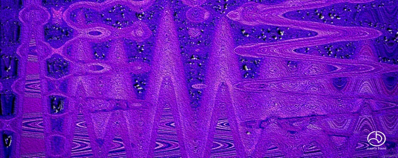 PLANÈTE LILAS