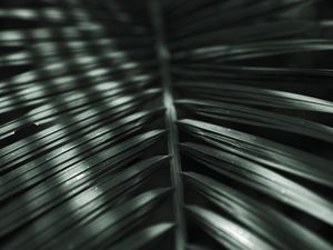 LUZ SOBRE O VERDE