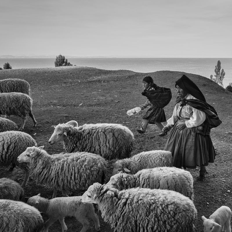 PASTORA DE AMANTANI