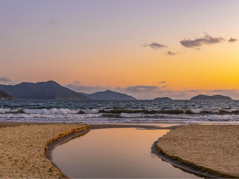 GOLDEN HOUR PINHEIRA 2