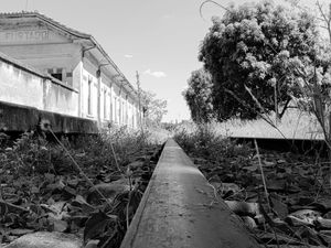 GPJ_200405071