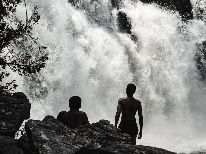 BOYS AND NATURE