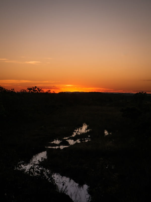 FOLLOW THE SUNSET
