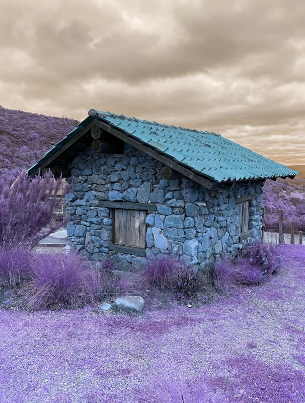 BLUE HOUSE