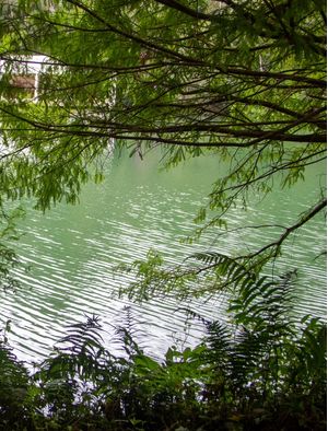 DÍPTICO VERDE II