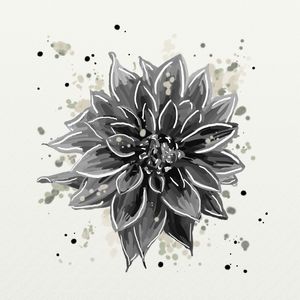 FLORAÇÃO 16