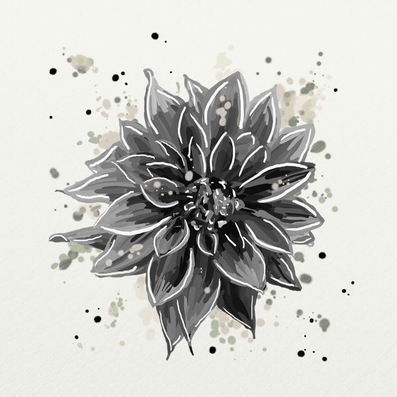 FLORAÇÃO 16