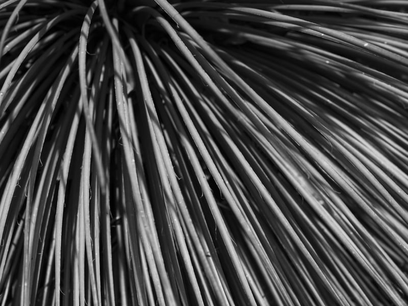 ARTE ABSTRATA 2